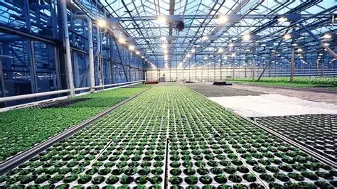 Secteur agriculture